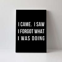 I Came I Saw I Forgot What I Was Doing Canvas