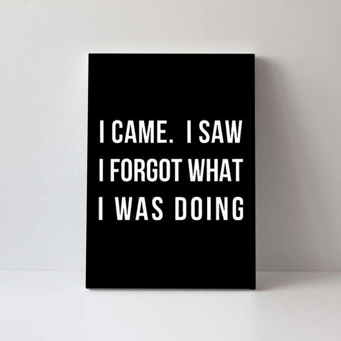 I Came I Saw I Forgot What I Was Doing Canvas