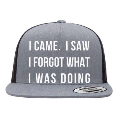 I Came I Saw I Forgot What I Was Doing Flat Bill Trucker Hat