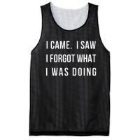 I Came I Saw I Forgot What I Was Doing Mesh Reversible Basketball Jersey Tank