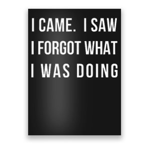 I Came I Saw I Forgot What I Was Doing Poster