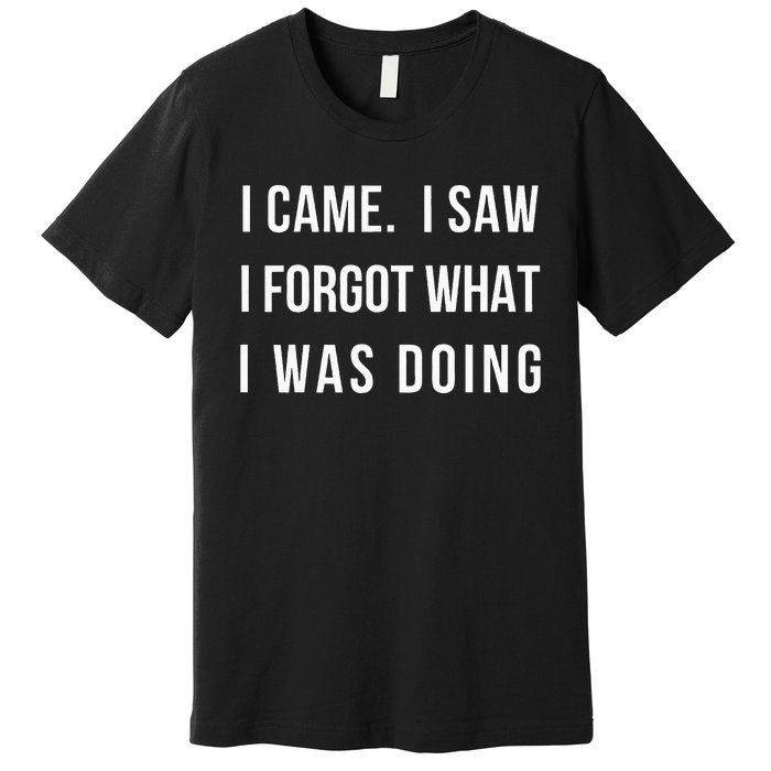 I Came I Saw I Forgot What I Was Doing Premium T-Shirt