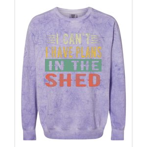 I CanT I Have Plans In The Shed Funny Toolshed Workshop Pun Colorblast Crewneck Sweatshirt