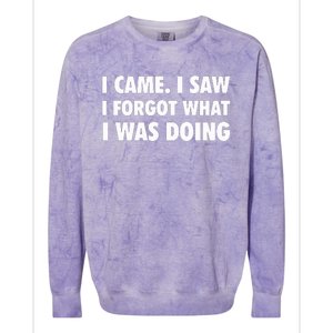 I Came I Saw I Forgot What I Was Doing Sarcastic Colorblast Crewneck Sweatshirt