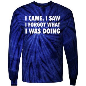 I Came I Saw I Forgot What I Was Doing Sarcastic Tie-Dye Long Sleeve Shirt