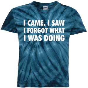 I Came I Saw I Forgot What I Was Doing Sarcastic Kids Tie-Dye T-Shirt