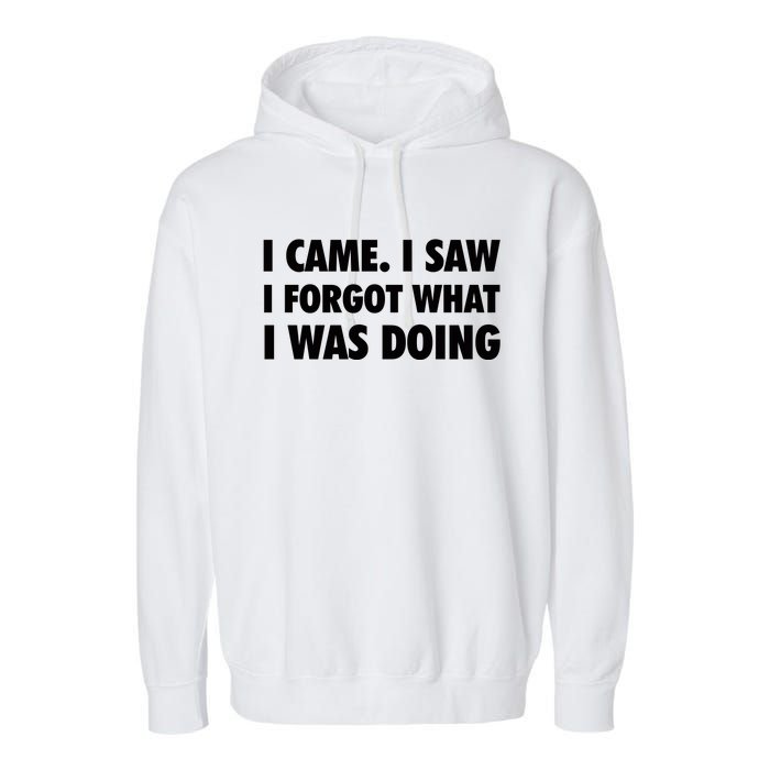 I Came I Saw I Forgot What I Was Doing Sarcastic Garment-Dyed Fleece Hoodie