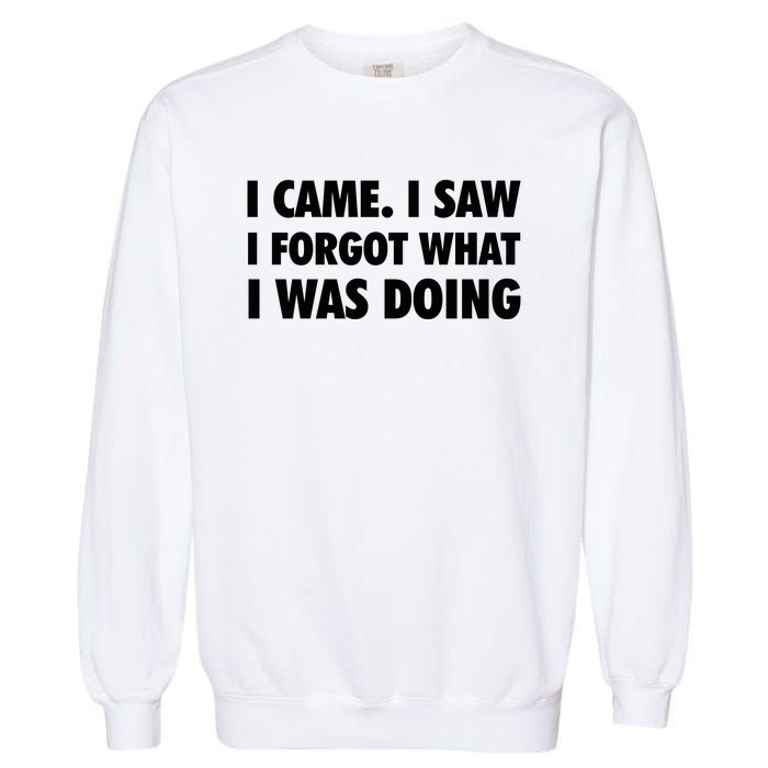 I Came I Saw I Forgot What I Was Doing Sarcastic Garment-Dyed Sweatshirt