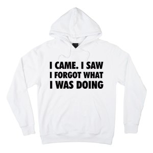 I Came I Saw I Forgot What I Was Doing Sarcastic Hoodie