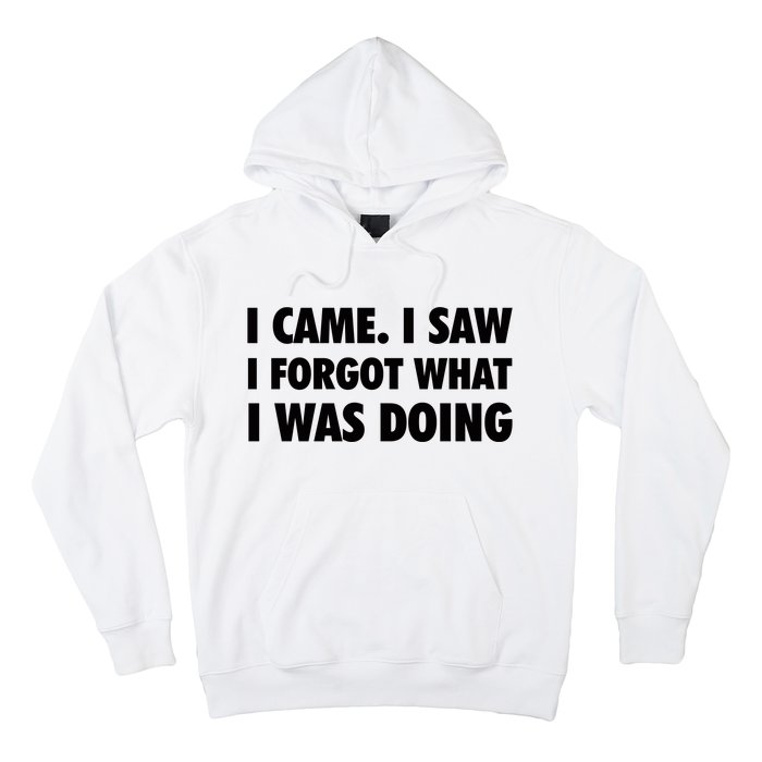 I Came I Saw I Forgot What I Was Doing Sarcastic Hoodie