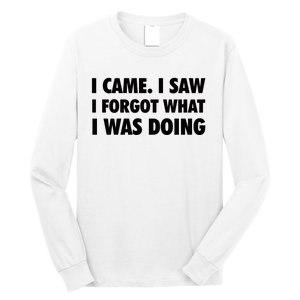 I Came I Saw I Forgot What I Was Doing Sarcastic Long Sleeve Shirt