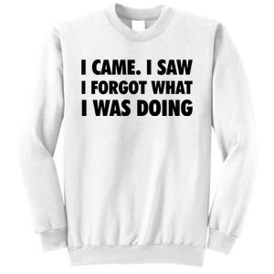 I Came I Saw I Forgot What I Was Doing Sarcastic Sweatshirt