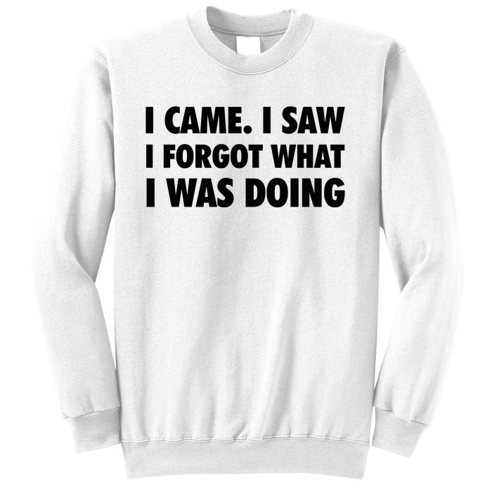 I Came I Saw I Forgot What I Was Doing Sarcastic Sweatshirt