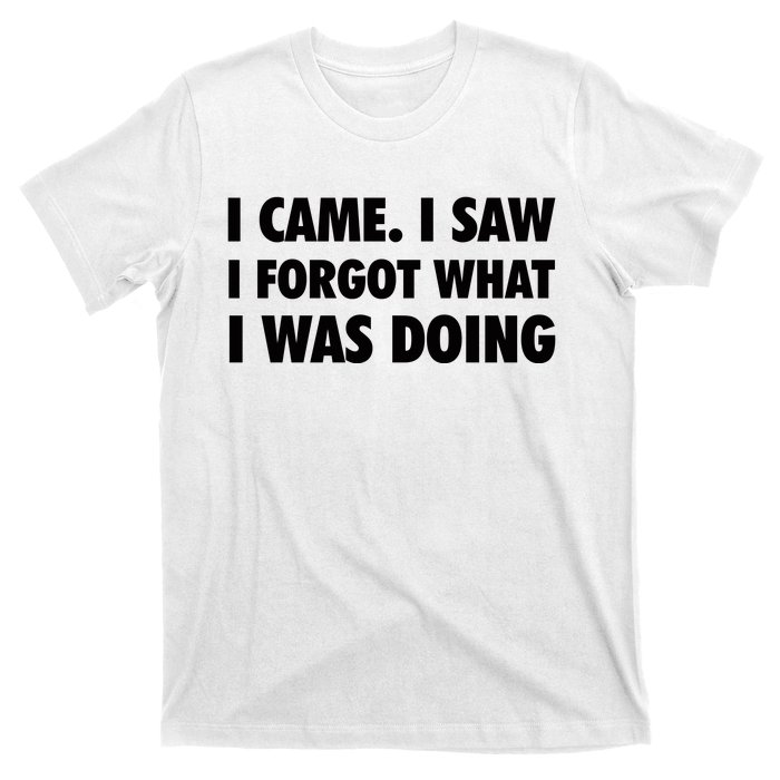 I Came I Saw I Forgot What I Was Doing Sarcastic T-Shirt