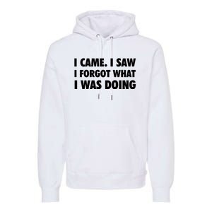 I Came I Saw I Forgot What I Was Doing Sarcastic Premium Hoodie