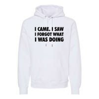 I Came I Saw I Forgot What I Was Doing Sarcastic Premium Hoodie