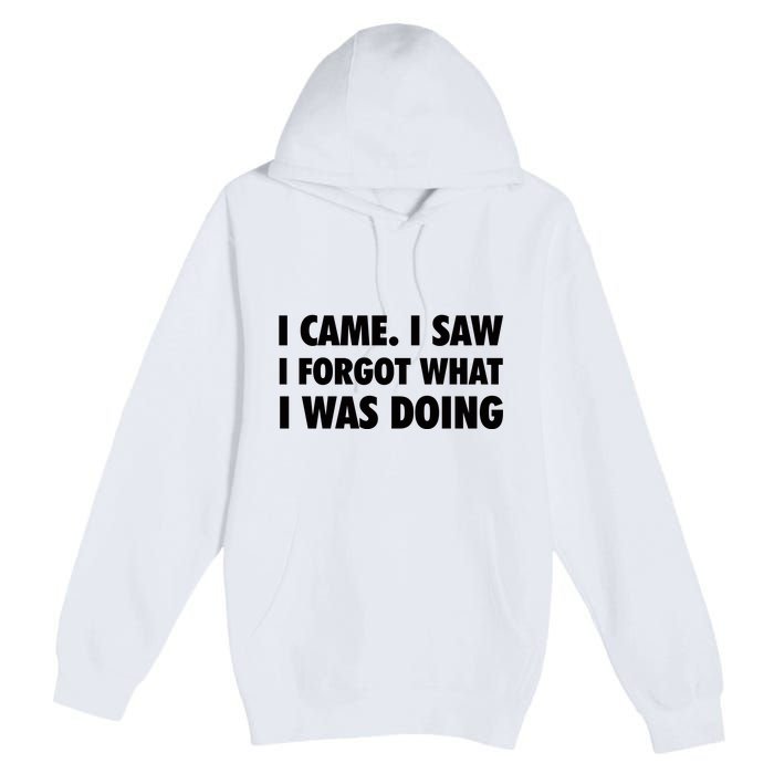 I Came I Saw I Forgot What I Was Doing Sarcastic Premium Pullover Hoodie