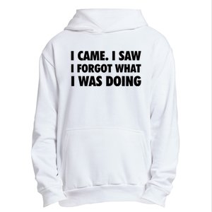 I Came I Saw I Forgot What I Was Doing Sarcastic Urban Pullover Hoodie