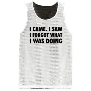 I Came I Saw I Forgot What I Was Doing Sarcastic Mesh Reversible Basketball Jersey Tank