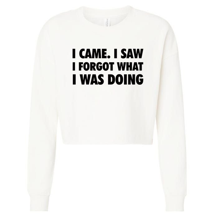 I Came I Saw I Forgot What I Was Doing Sarcastic Cropped Pullover Crew