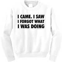 I Came I Saw I Forgot What I Was Doing Sarcastic Kids Sweatshirt