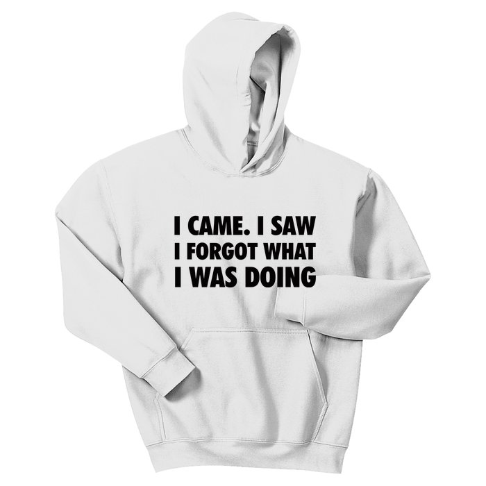 I Came I Saw I Forgot What I Was Doing Sarcastic Kids Hoodie