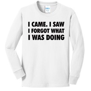 I Came I Saw I Forgot What I Was Doing Sarcastic Kids Long Sleeve Shirt