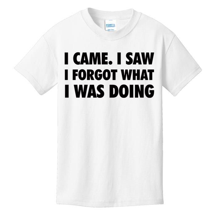 I Came I Saw I Forgot What I Was Doing Sarcastic Kids T-Shirt