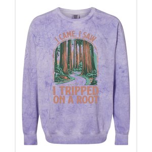 I Came I Saw I Tripped On A Root Hiking Adventure Hiker Colorblast Crewneck Sweatshirt