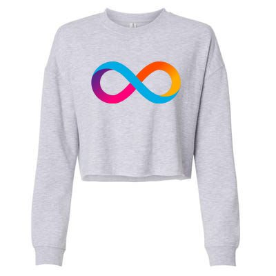 Internet Computer Icp Cryptocurrency Logo Cropped Pullover Crew