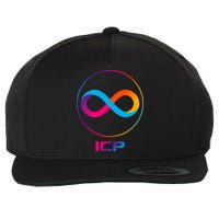Internet Computer Icp Cryptocurrency Logo Emblem Wool Snapback Cap