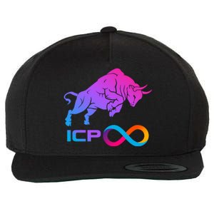 Internet Computer Icp Cryptocurrency Logo Bull Run Wool Snapback Cap