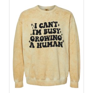 I Cant Im Busy Growing A Human Colorblast Crewneck Sweatshirt