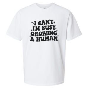 I Cant Im Busy Growing A Human Sueded Cloud Jersey T-Shirt