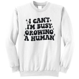 I Cant Im Busy Growing A Human Sweatshirt