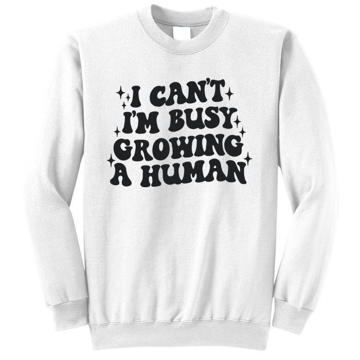 I Cant Im Busy Growing A Human Sweatshirt