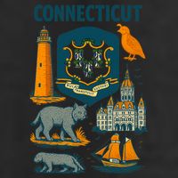 Iconic Connecticut 7 Panel Mesh Trucker Snapback Hat