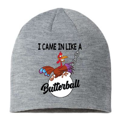 I Came In Like A Butterball Funny Thanksgiving Sustainable Beanie