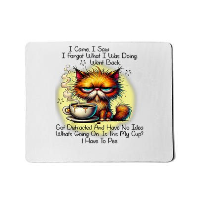 I Came I Saw I Forgot What I Was Doing Went Back Got Distrac Mousepad