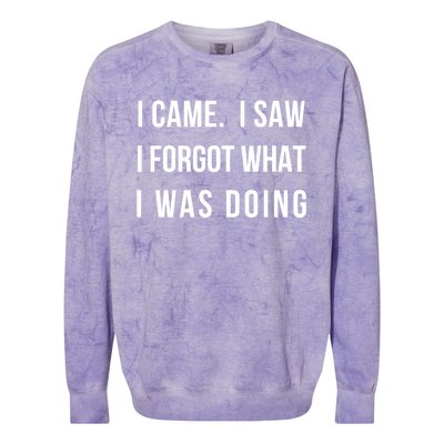 I Came I Saw I Forgot What I Was Doing Sarcastic Tee Gift Colorblast Crewneck Sweatshirt