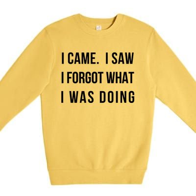 I Came I Saw I Forgot What I Was Doing Sarcastic Tee Gift Premium Crewneck Sweatshirt