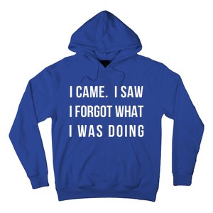 I Came I Saw I Forgot What I Was Doing Sarcastic Tee Gift Hoodie