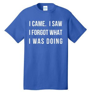 I Came I Saw I Forgot What I Was Doing Sarcastic Tee Gift Tall T-Shirt