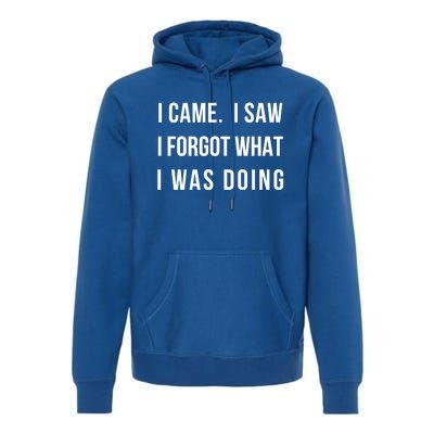 I Came I Saw I Forgot What I Was Doing Sarcastic Tee Gift Premium Hoodie