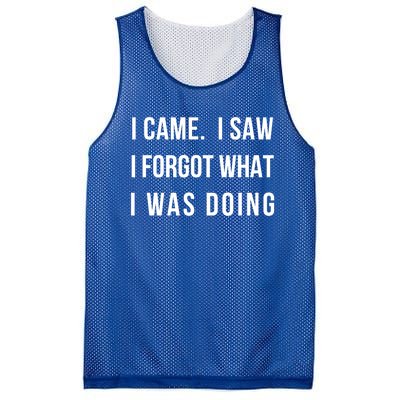 I Came I Saw I Forgot What I Was Doing Sarcastic Tee Gift Mesh Reversible Basketball Jersey Tank