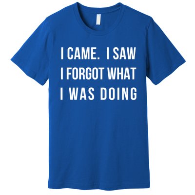 I Came I Saw I Forgot What I Was Doing Sarcastic Tee Gift Premium T-Shirt