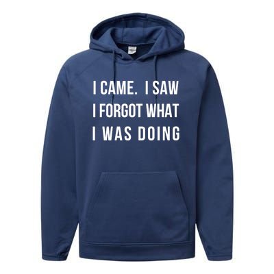 I Came I Saw I Forgot What I Was Doing Sarcastic Tee Gift Performance Fleece Hoodie