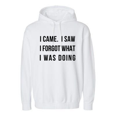 I Came I Saw I Forgot What I Was Doing Sarcastic Tee Gift Garment-Dyed Fleece Hoodie