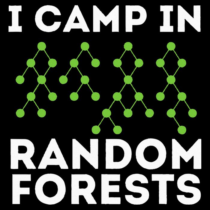 I Camp In Random Forests Data Scientist Science Analyst Drawstring Bag