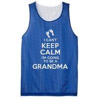 I Can't Keep Calm I'm Going To Be A Grandma Funny Gift Mesh Reversible Basketball Jersey Tank